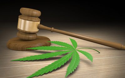 Christian Gabroy Article Regarding Nevada Employees Legal Marijuana Use recently published in Review-Journal