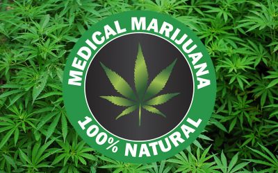 Medical Marijuana Wrongful Termination Attorney