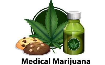 Medical Marijuana Employment Attorney